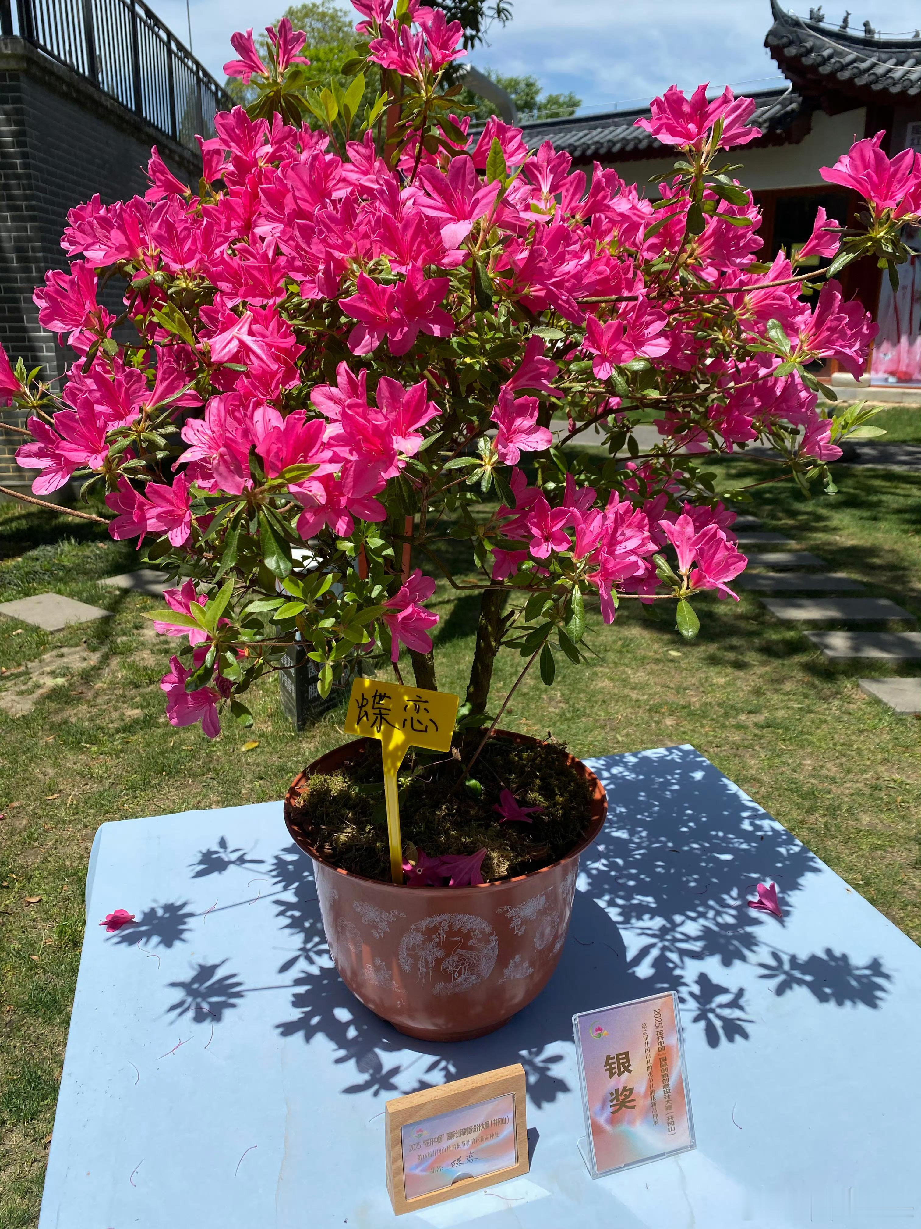 专家预计美联储降息大概率在9月这可不行，不能让老美拖那么久等着后面中国放大招股市