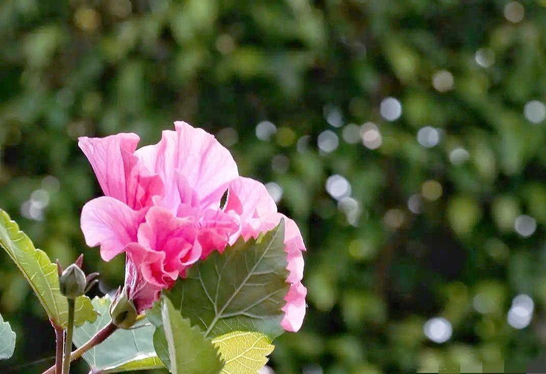 我一个同学，突然给我打电话约喝茶，说想和我聊一聊。我问还有谁，他说就我俩，我和先