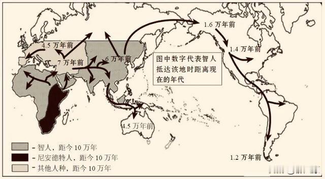 为什么人类之间没有出现生殖隔离?[玫瑰]生殖隔离指的是由于种种原因，使得亲缘