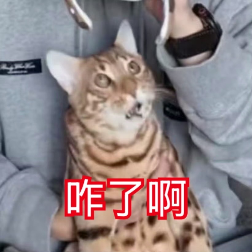 我肚子真的好难受