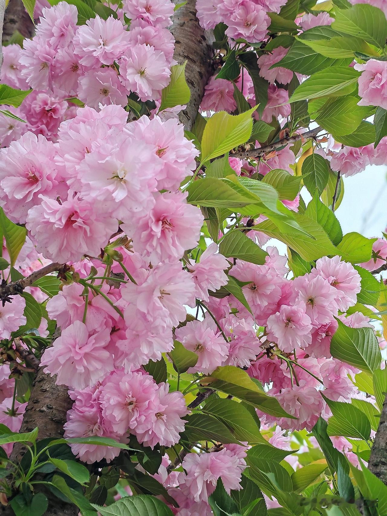 一个人活到50岁，都还不能认清这件事，那你这辈子注定是活不明白了！那就是：