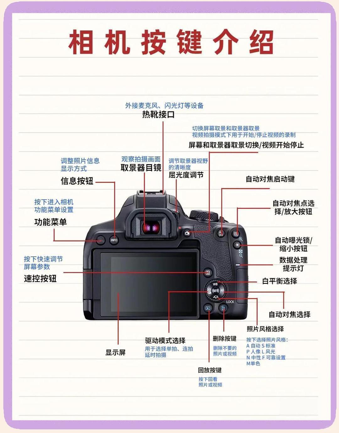 年轻人五一出片焦虑开始发作了单反相机入门，从零开始快速上手，喜欢的可以了解一下