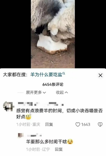 要这么多时间干嘛