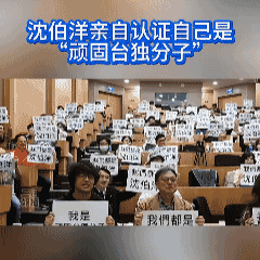 “我们都是沈伯洋，我是顽固台独分子”哈马斯敢集体开直播，喊我们都是哈马斯吗？都