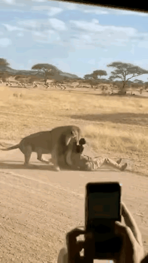 我的天！这剧情反转得比电视剧还刺激！女人下车想透透气，没想到