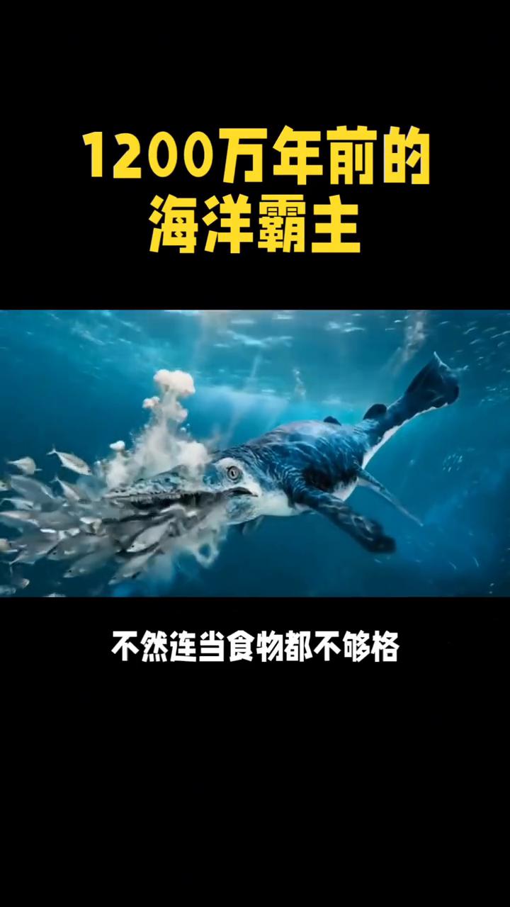 1200万年前的海洋霸主。你以为沧龙很可怕，其实它根本没机会和梅尔维尔利维坦鲸
