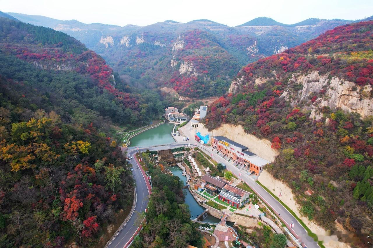 最近好些个朋友去青岛玩了，整得我也想去山东了，想吃青岛鲜掉眉毛的海肠捞饭，想吃香