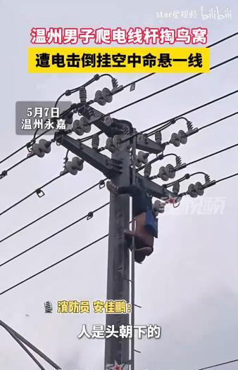 “福大命大！”浙江温州，一男子为了掏鸟窝，竟一口气爬上15米电线杆，结果鸟窝没掏