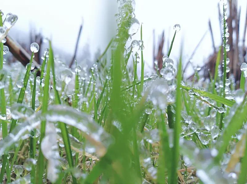 看到“天寒地冻一杯酒”这一上联，瞬间就被带入了天寒地冻的情境之中。于这冰天雪地间