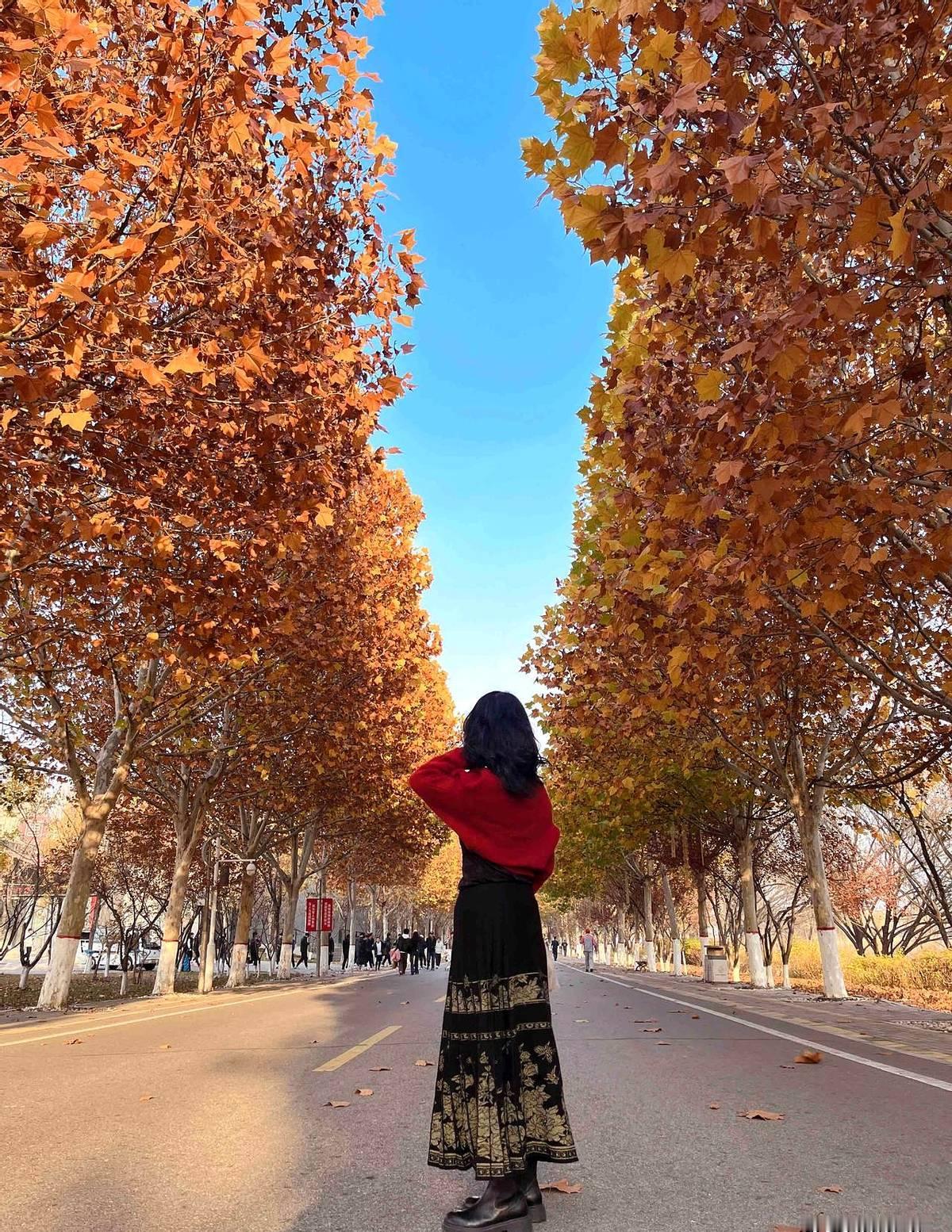 从生物学角度看，男性喜欢年轻的，因为能够繁衍后代。齐白石八十四岁时，有人说要把