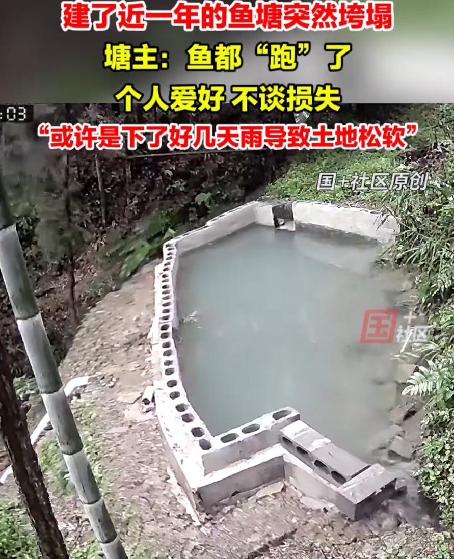 “这心态绝了！”湖北恩施，男子自建了一个鱼塘用来养鱼，不料，还没坚持一年，竟突然