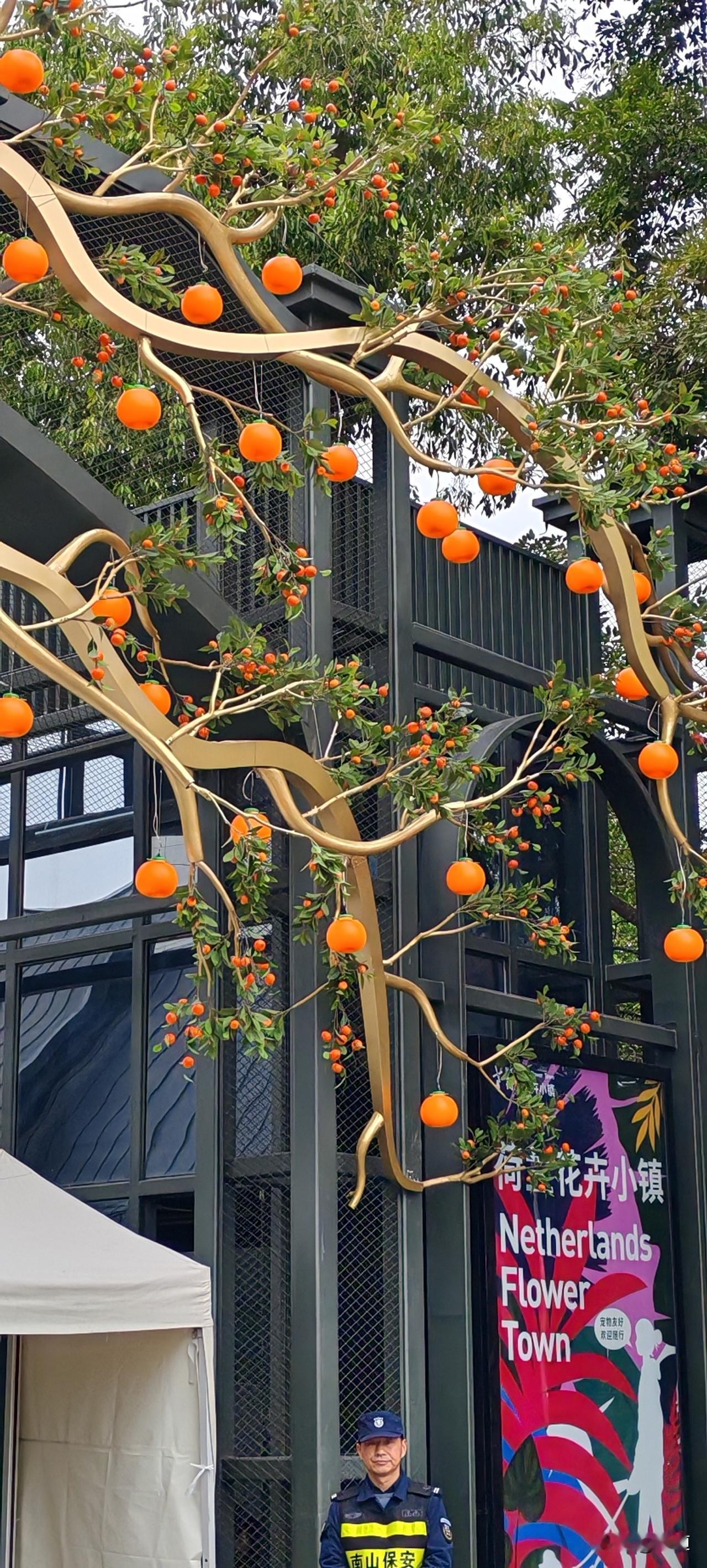 女子五十三岁和大她15岁68的一个老头领了结婚证。当然是老头追女的了，要给她转二