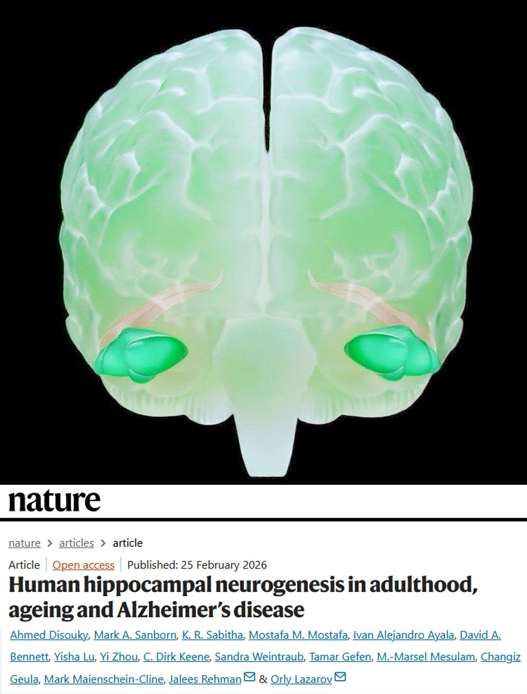 Nature重磅-人脑终身产生新神经元老人更多