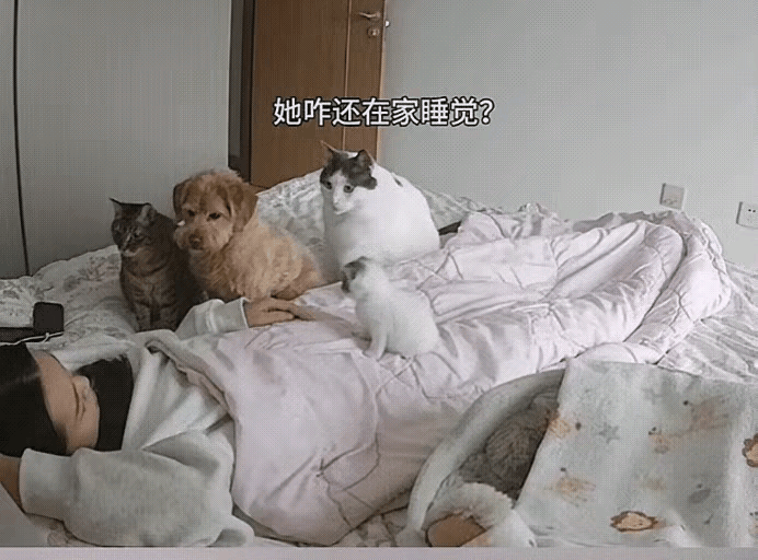 泪目！辽宁，独居女子感冒请假回到家，吃了两片药就迷糊了，倒在床上睡过去，醒来觉得