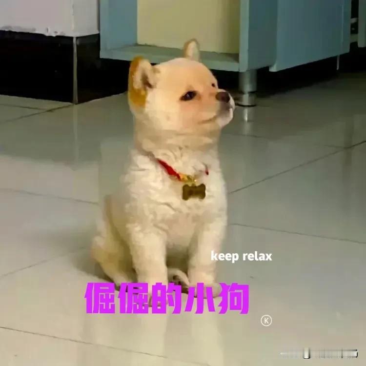 今天镇上赶集，家里的鸭肝没有了，怕小狗不吃饭，于是准备去买点。出门的时候，小狗跟