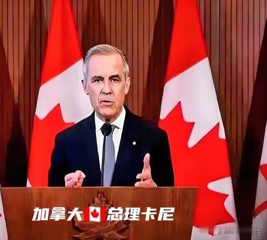加拿大这次是真敢说！1月20日的达沃斯论坛上，卡尼这一番话听得人心里一惊。什