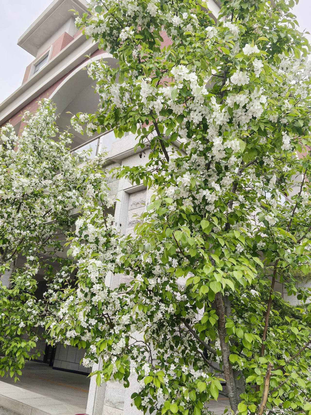 文科大学生就业太难了去年我有两个朋友的孩子都大学毕业了，一个专业是英语，一