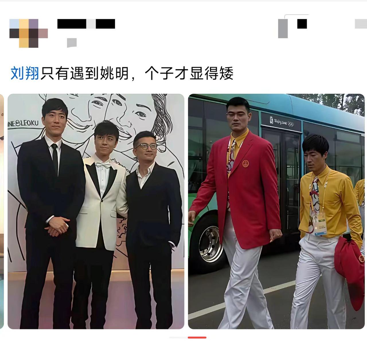刘翔这身高，放普通人里算高个吧？