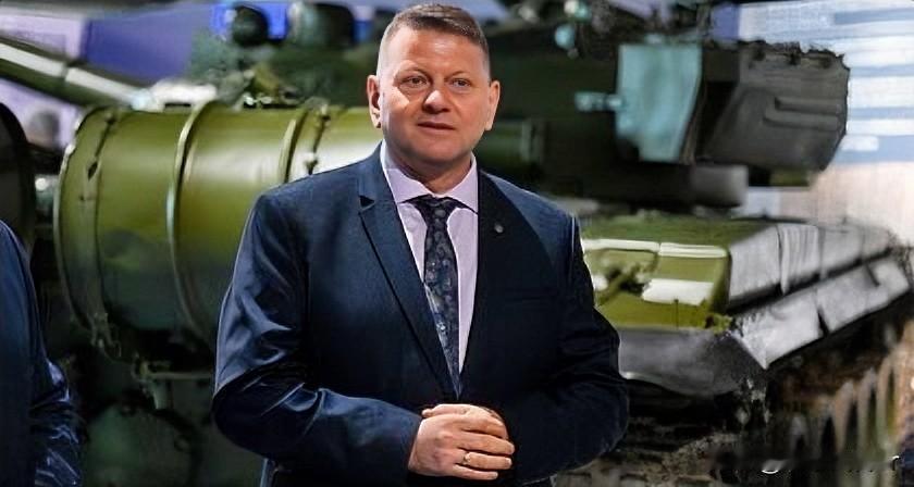 承认了！就在昨天，美联社发表了对乌克兰武装部队前总司令扎卢日内的采访。采访中，扎