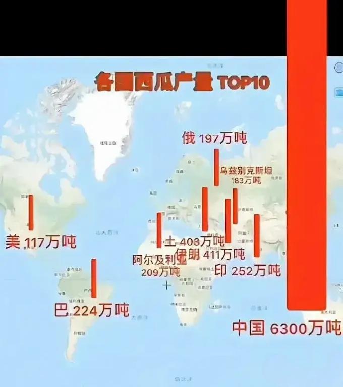 自从1000多年前，西瓜经过漫长的欧亚大陆来到中国后，就在中国发扬光大，成就了自