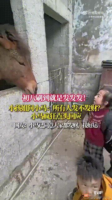 都来接福气！贵州惠水一名男子带孩子去舅舅家拜年，刚好舅舅家里养了一匹小马，孩子们