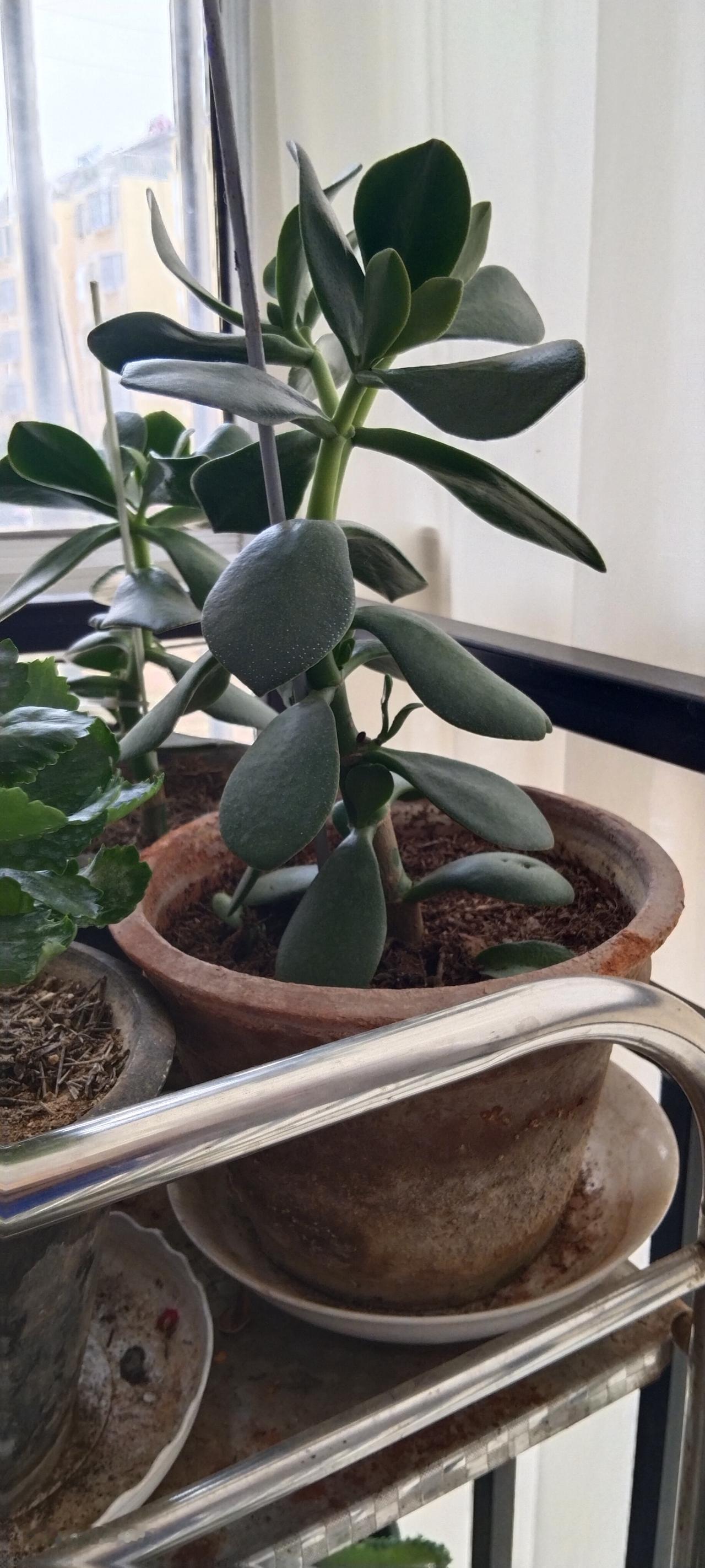 大学期间有个要好的同学打电话闲聊，聊着聊着聊起了同学聚会。他说，在市里工作的几