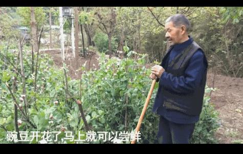 西北人勤劳能干讲究卫生或许和当地土壤PH值有关。走近西北地区，最大的感觉是荒凉