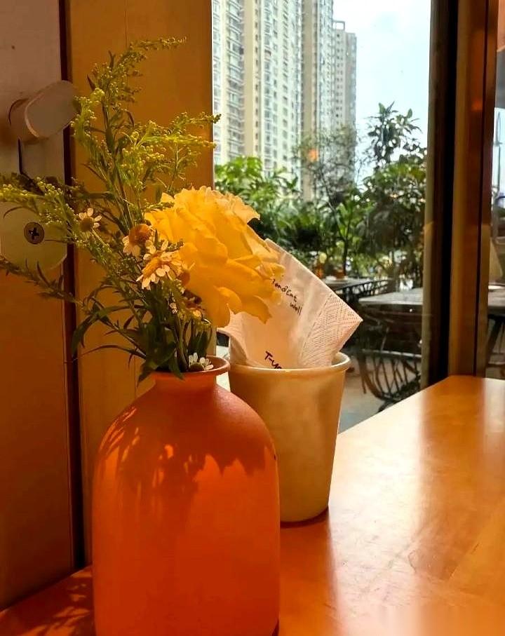 同居的第六个月，46岁的周姐站在客厅里，盯着沙发上那个快60岁的男人。这男人在深