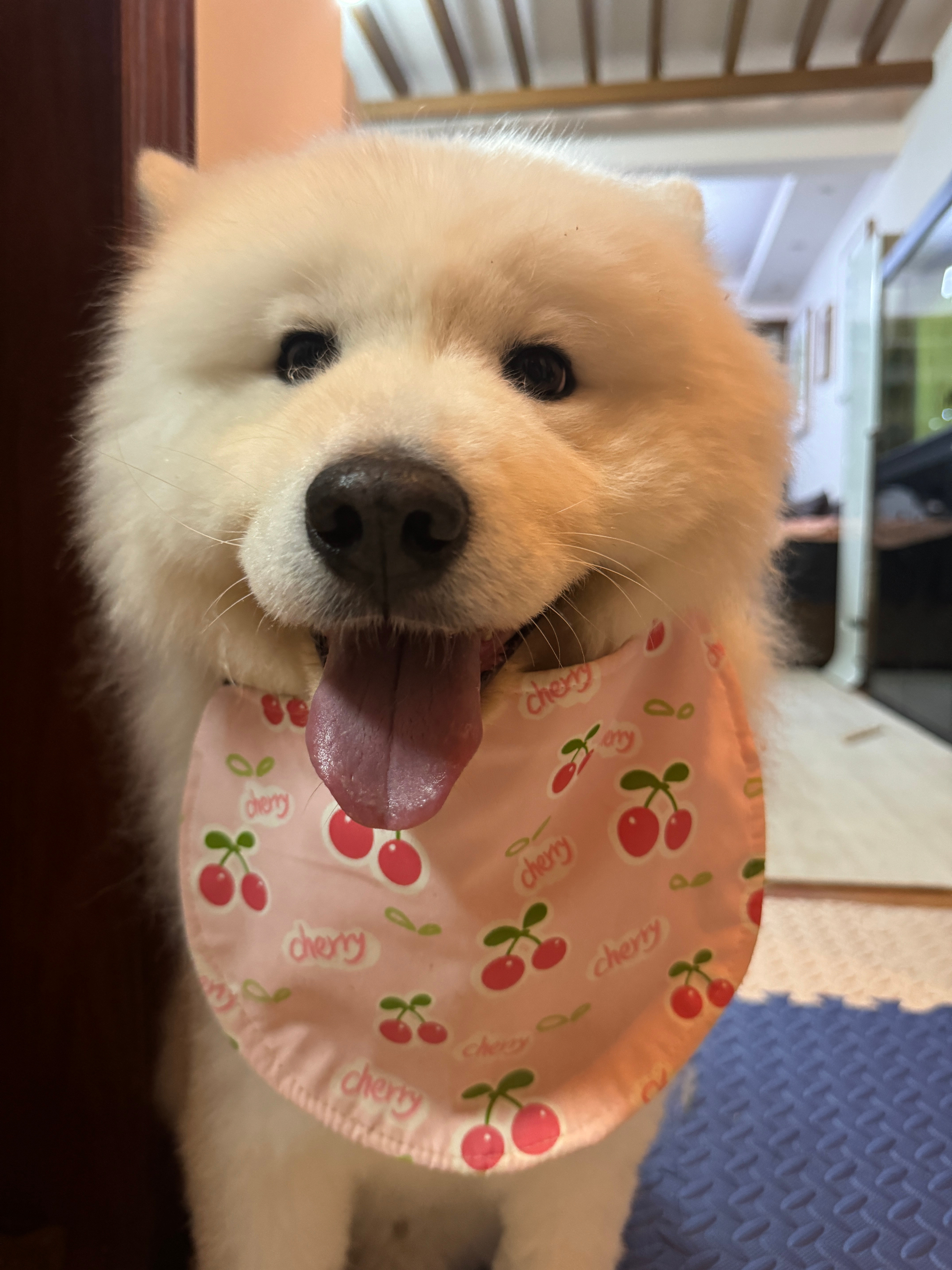 厨房进出质检员。