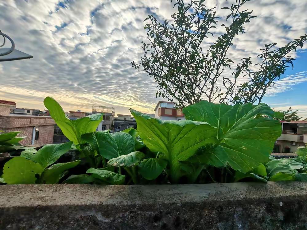 我妈在幼儿园打扫卫生，一个月才2000块钱，每天要干整整10个钟头，周末能歇两天