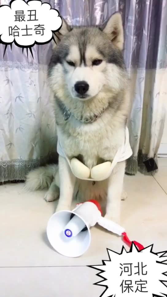 151108 两天一夜普美 (1)