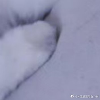 00000“我想春天永远都是无法具象的，它有各种各样的形态，可以是绚烂...