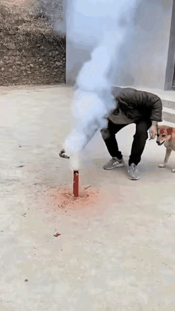 狗子心想，你们又喝酒又吃肉，连骨头也不给它啃一口！那就干脆都别吃了，于是，就……