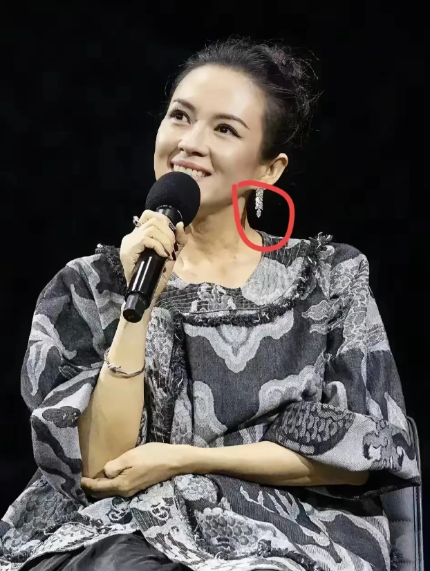 章子怡走了她不是回北京而是到了美国，还换了新身份原来是为了《卧虎藏龙