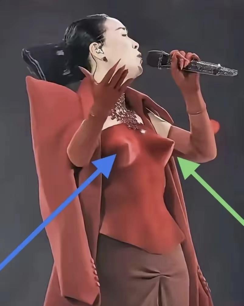 那英在北京演唱会上的这套服饰，真的是毁人三观！其实想想也刚好适合她，如果是个正