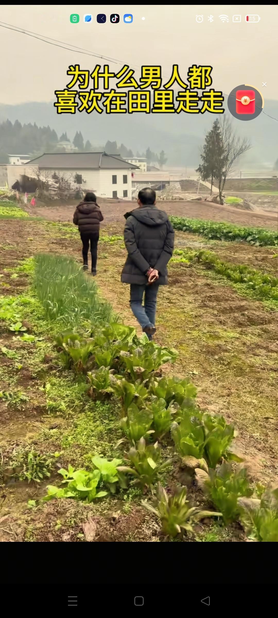 谢岳找回了孩子，捧红了前任，现任则成了被骂的对象，其实离婚也没啥，名声不太好听，