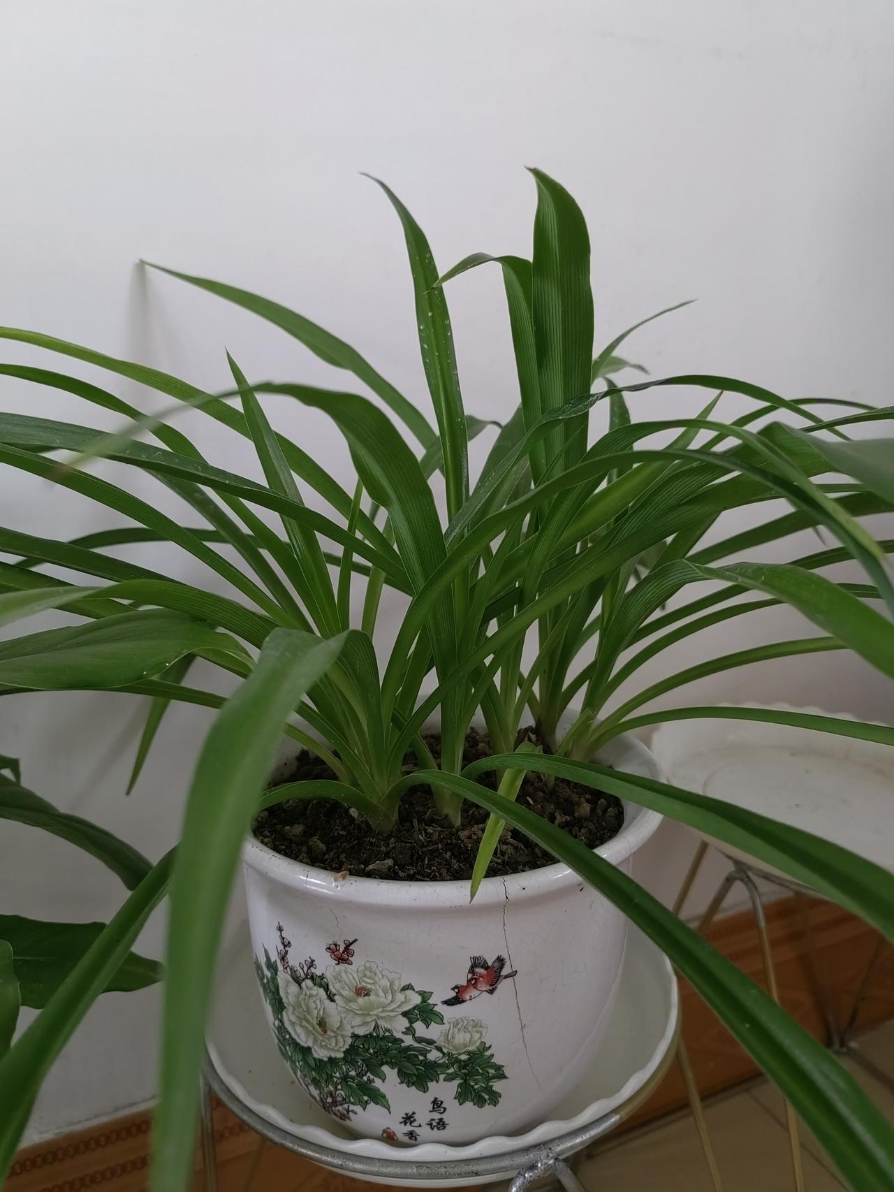 随着年龄增长，越来越不喜欢出门了。没事的情况下，可以一整天都窝在家里。泡一杯茶