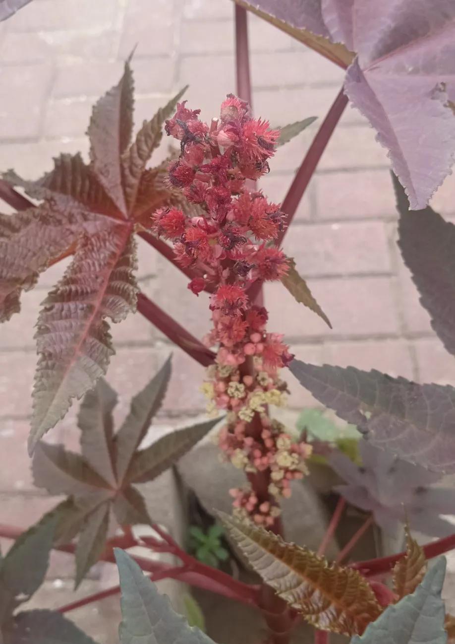 我朋友嫁了四回，第五回又把自己嫁出去了，跟男的过两三年就离婚，以前我就说她，所有