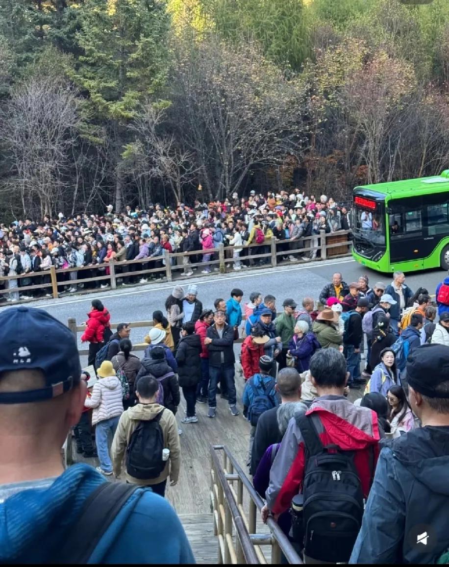 九寨沟挤到脚不沾地，这老人优待政策真的合理吗？谁来评评理啊！挤在九寨