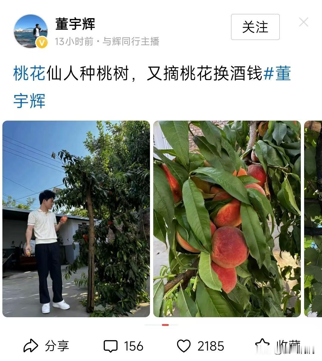 董宇辉一发九宫格，评论区直接变大型“侦破”现场。大家不关心他吃了啥、看了啥，