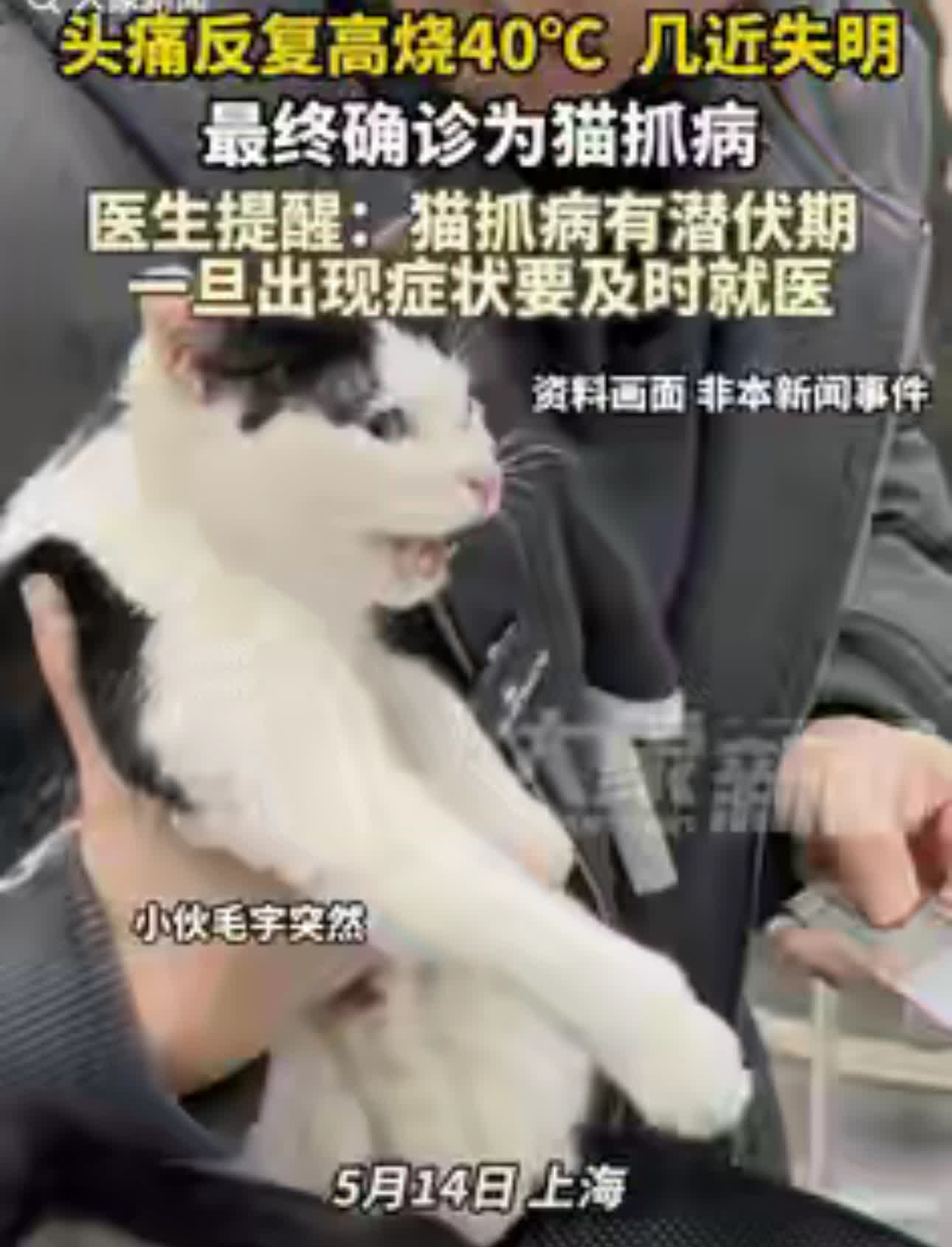 近日，上海发生一起令人揪心的事件：一名男子在投喂流浪猫时意外被抓伤，因未及时处理