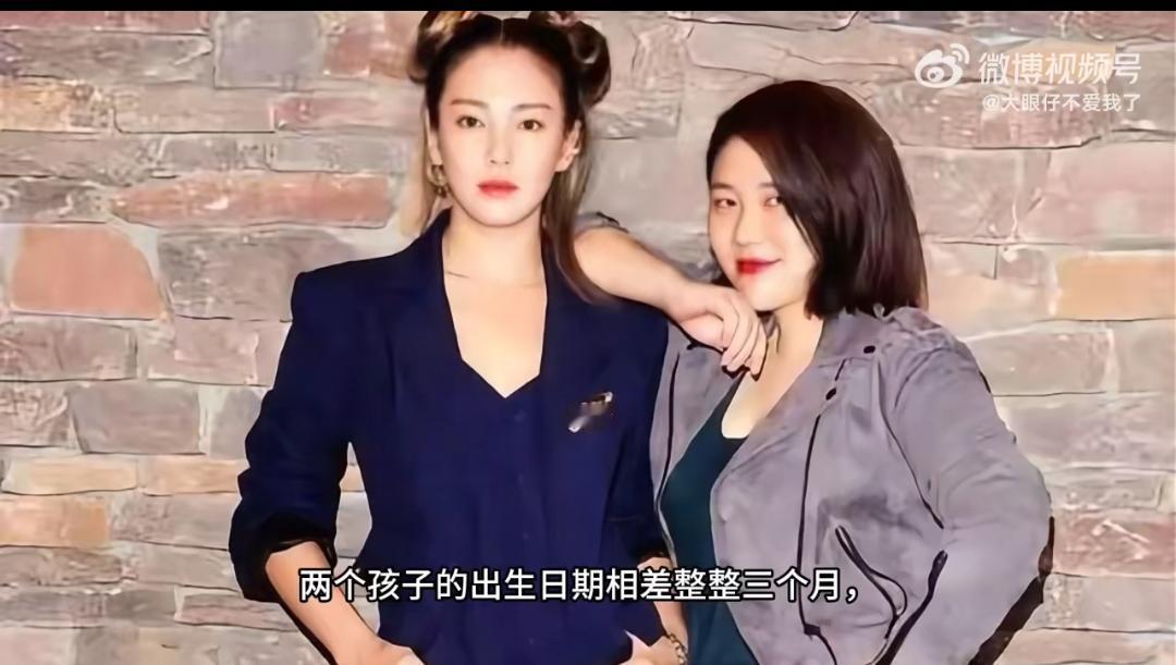 葛晓倩硬刚张雨绮出生证明成罗生门葛晓倩这波直接把张雨绮架在火上烤！喊话晒