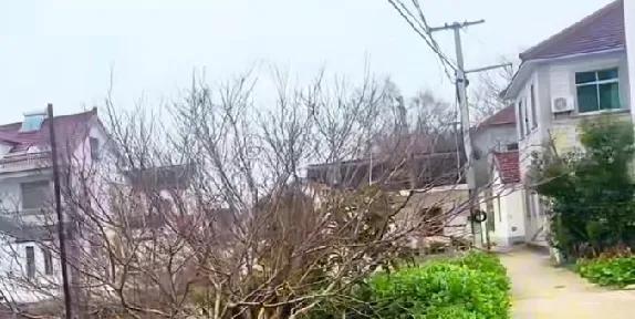 上海商榻商柏古镇，属于青浦区金泽镇管辖。她静卧于上海最西陲，淀山湖温柔的