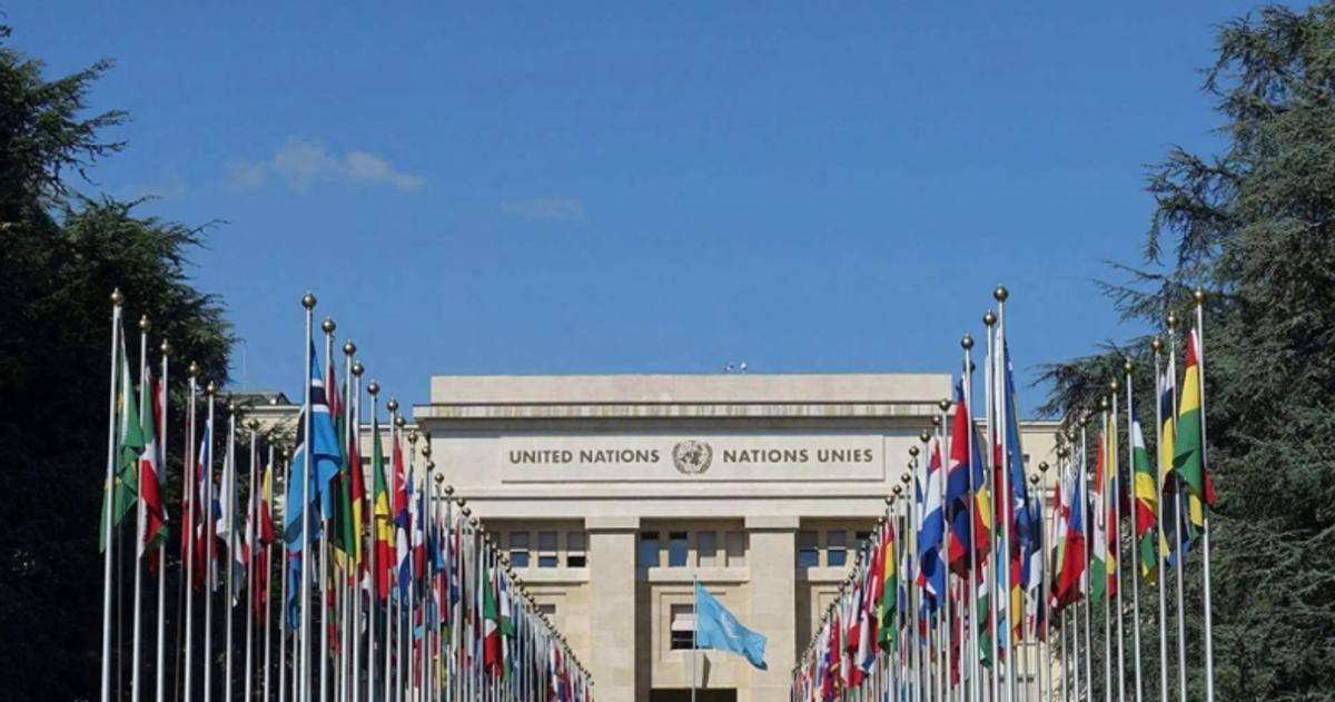 美国不允许联合国搬迁，印度却大胆提议另起炉灶，这个提议可行吗？印度人的脑回路真神