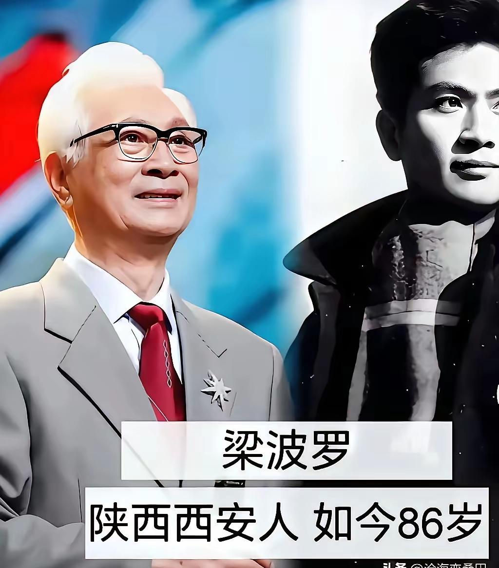 看到网上又在盘点“经典男神”，我笑了。你们管这叫“审美”？这分明是降维打击。