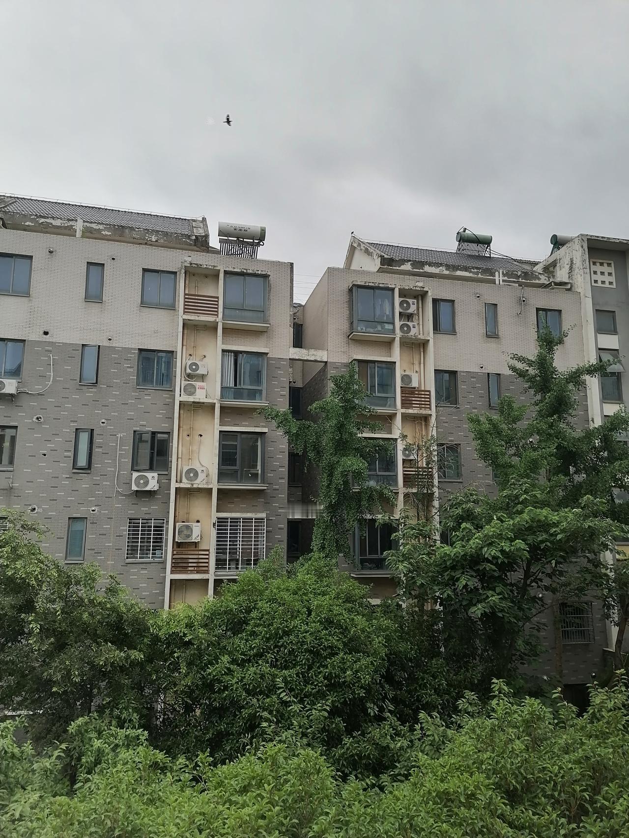 邻居两口子都四十多岁，来自附近的一座小城市。他们卖掉老家的房子，购置了我们小区的