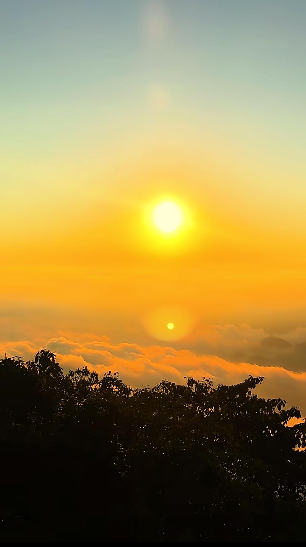 下周（2月9日-2月13日）是春节前的最后一周，资金会流向确定性高的领域。