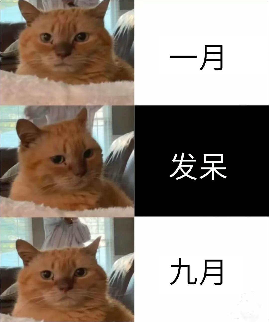 就一睁眼功夫​​​