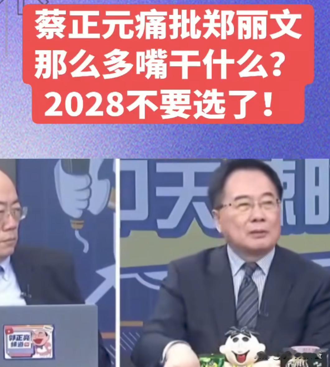 郑丽文只是接受了德国之音的访谈，本来就是一次普通采访，岛内名嘴们的反应可太出人意