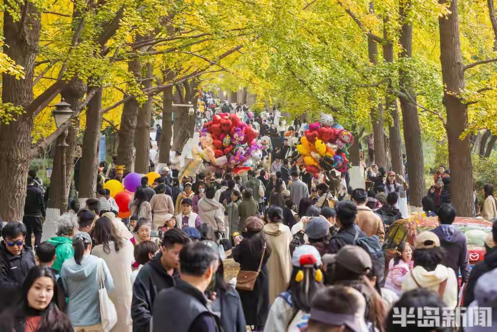 青岛八大关银杏大道惊现魔法落叶帽！游客创意装扮引爆朋友圈，背后隐藏的城市温情令人